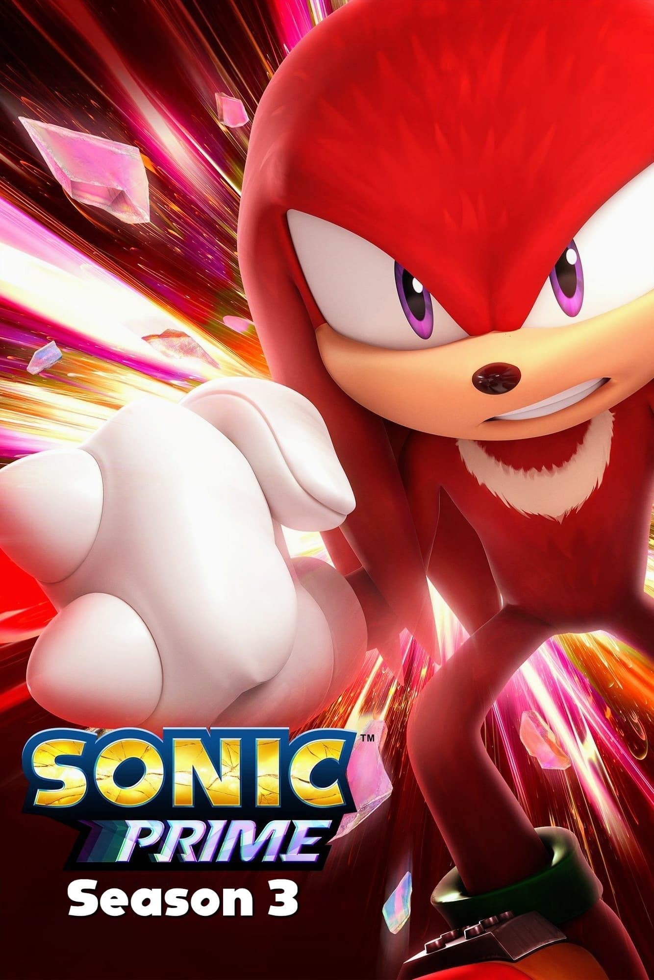Affiche du projet Sonic Prime - Saison 3